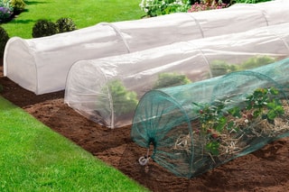 3 tunnels de forçage - 2 x 3,5 m - 7 m²