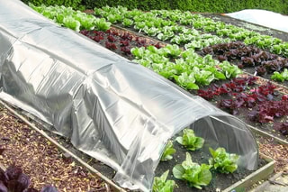 3 tunnels de forçage - 2 x 3,5 m - 7 m²