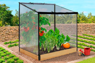 Serre de potager Aroma XXL - 115 x 80 x 130 cm