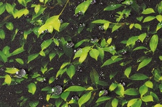 Paravent rétractable occultant - 400 x 180 cm