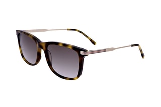Lunettes de soleil homme - Catégorie 2 - Lacoste