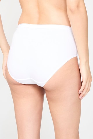 2 Slips Hoge Taille Coton Bio - Wit -  