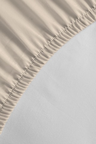 Drap-housse en coton 57 fils/cm² - 
Beige