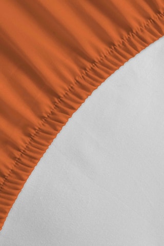 Drap-housse en percale de coton 80 fils/cm² - Terracotta