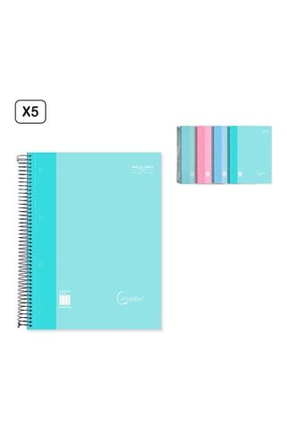 5 Spiraalschriften - 120 Vellen - Hemelsblauw en Roze - 21 x 29,7 x 2 cm