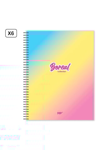 6 Ruitschriften met Spiraal - 120 Vellen - Roze en Hemelsblauw - 231 x 295 mm