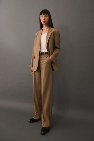 Pantalon costume pinces - Marron
