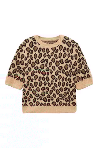 Pull-over manches courtes léopard - Beige