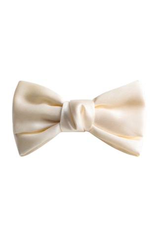Pince à cheveux nœud - Beige