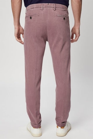 Chino - Violet - Harmont & Blaine
