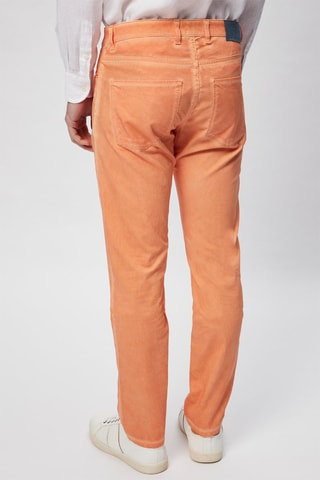 Pantalon droit - Orange - Harmont & Blaine