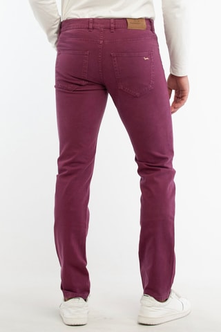 Pantalon - Violet - Harmont & Blaine