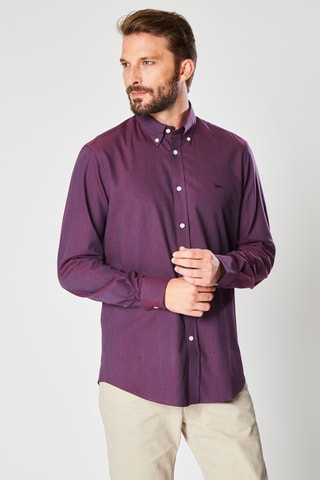 Chemise - Violet - Harmont & Blaine