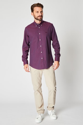 Chemise - Violet - Harmont & Blaine