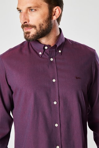 Chemise - Violet - Harmont & Blaine