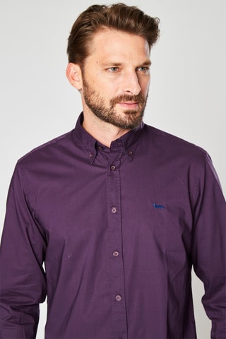 Chemise - Violet - Harmont & Blaine