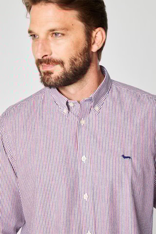 Chemise rayée - Bleu marine et blanc - Harmont & Blaine