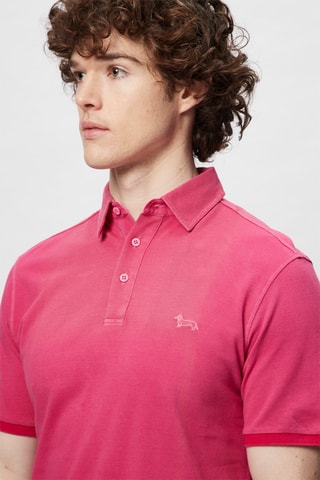 Polo - Fuchsia - Harmont & Blaine