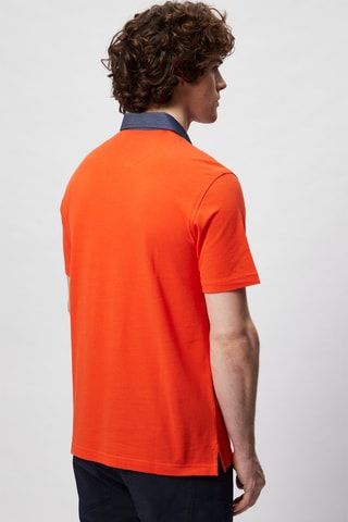 Polo - Orange - Harmont & Blaine