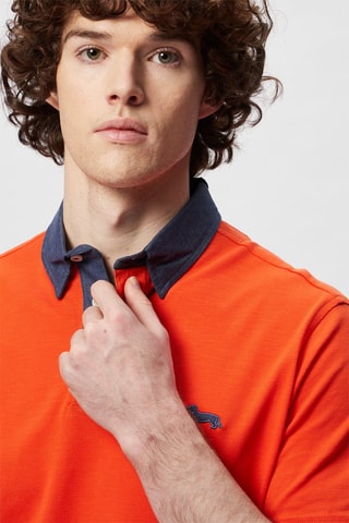 Polo - Orange - Harmont & Blaine