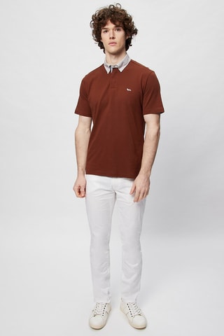 Polo - Marron foncé - Harmont & Blaine