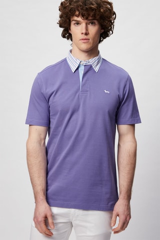 Polo - Violet - Harmont & Blaine