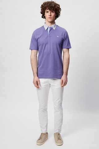 Polo - Violet - Harmont & Blaine