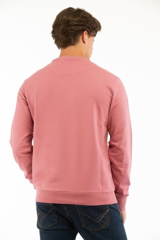 Sweat - Rose - Harmont & Blaine