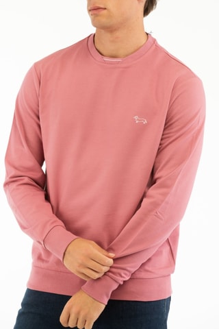 Sweat - Rose - Harmont & Blaine