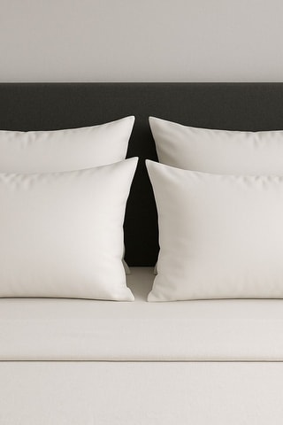 4 oreillers - 2 x 63 x 63 cm et 2 x 50 x 70 cm - 700 et 750 g
