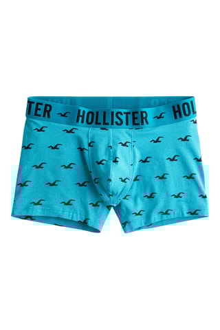 Boxer - Turquoise