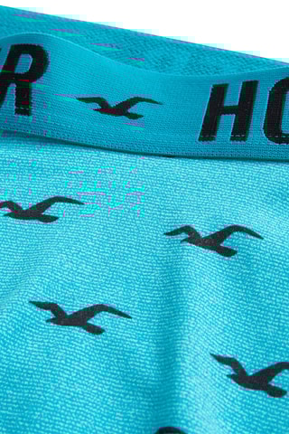 Boxer - Turquoise