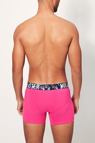 Boxer - Fuchsia