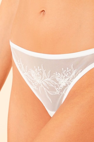 Tanga Jane Pérola