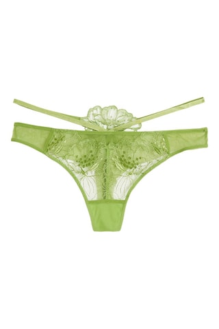 Tanga Conquise - Verde-azeitona