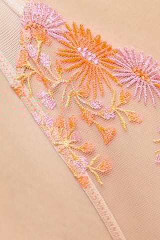 Tanga Sexy Sophistique Multicor