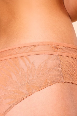 Shorty Palme Beige