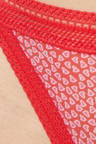 String Bac Rosa