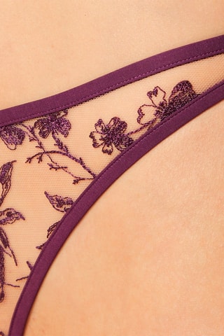 String Fougue Violeta - Etam