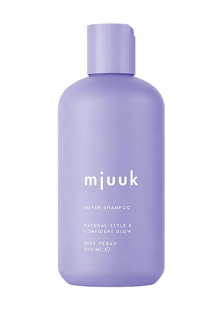 Shampoing Silver - Cheveux blonds - 250 ml