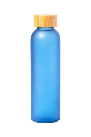 Bouteille en verre sans BPA avec couvercle en bambou - 500 ml