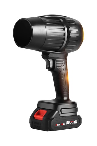Souffleur d'air professionnel