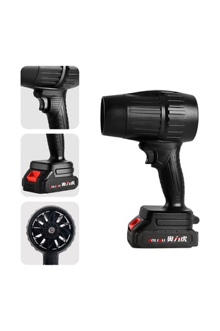 Souffleur d'air professionnel