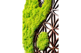 Décoration murale - 44 x 44 cm - Vert et naturel