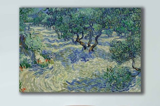 Tableau "Champ d'oliviers"- Vincent Van Gogh - 70 x 100 cm - Cadre en bois - Reproduction