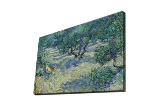 Tableau "Champ d'oliviers"- Vincent Van Gogh - 70 x 100 cm - Cadre en bois - Reproduction