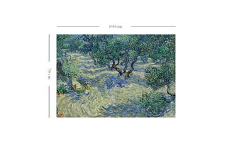 Tableau "Champ d'oliviers"- Vincent Van Gogh - 70 x 100 cm - Cadre en bois - Reproduction
