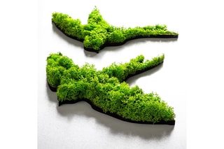 Décoration murale Swallows - Vert - 19 x 18 cm / 19 x 19 cm / 19 x 11 cm / 19 x 17 cm / 19 x 14 cm