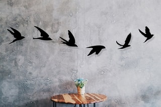 6 décorations murales - Noir