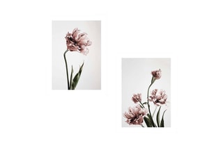 2 tableaux - 30 x 40 cm - 60 x 40 cm
